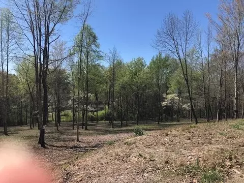 18 Piney Vw, Spring City, TN 37381