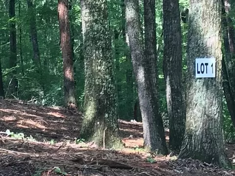 0 Piney Knob Dr, Spring City, TN 37381