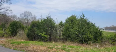 1 Whiteside Hill Rd, Shelbyville, TN 37160
