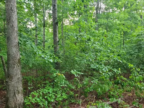 2 Haley Rd, Wartrace, TN 37183