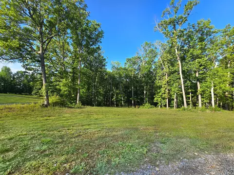 0 Akin Rd, Cunningham, TN 37052 photo 5