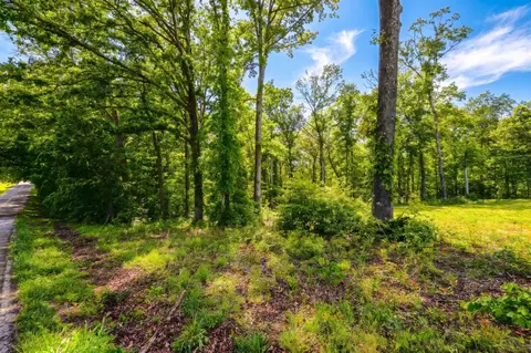 0 Akin Rd, Cunningham, TN 37052 photo 15
