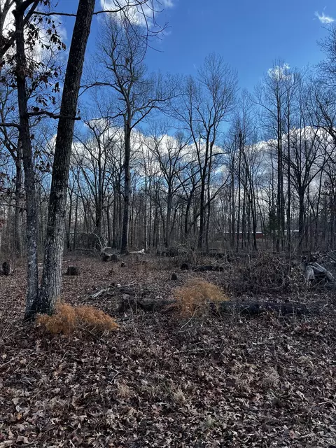 0 Oak Dr, Beechgrove, TN 37018 photo 3