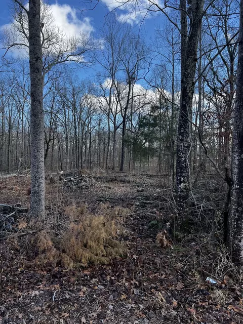 0 Oak Dr, Beechgrove, TN 37018 photo 4