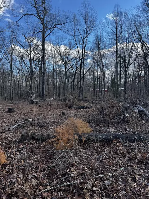 0 Oak Dr, Beechgrove, TN 37018