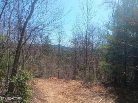 255329 Copperhead Rd, Oakdale, TN 37829