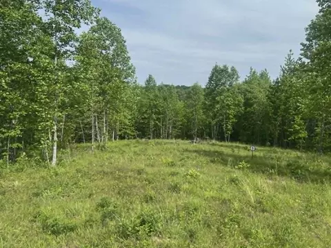 0 Freedom Rdg, Indian Mound, TN 37079