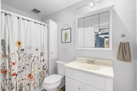 Bath - 127 Sam Davis Dr, Springfield, TN 37172 photo 2 of 3