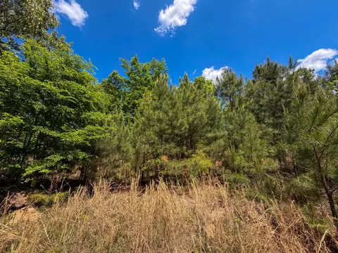 Other - 255 Biltmore Rd, Mansfield, GA 30055 photo 16 of 28