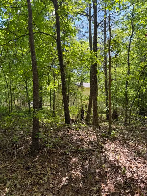 Exterior - 255 Biltmore Rd, Mansfield, GA 30055 photo 17 of 29