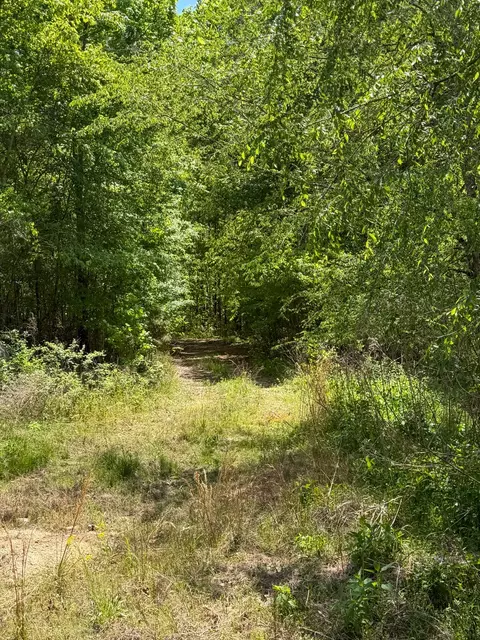 Other - 255 Biltmore Rd, Mansfield, GA 30055 photo 1 of 28