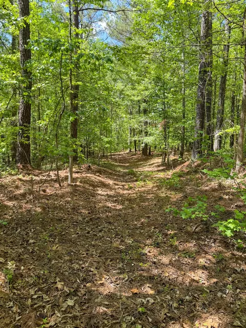 Other - 255 Biltmore Rd, Mansfield, GA 30055 photo 12 of 28