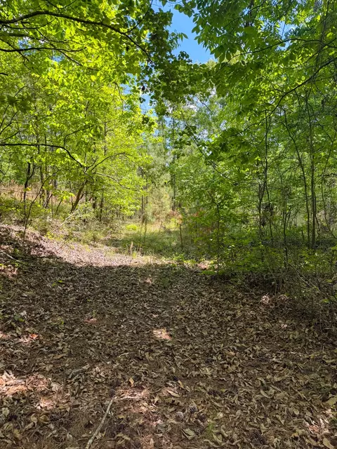 Other - 255 Biltmore Rd, Mansfield, GA 30055 photo 13 of 28