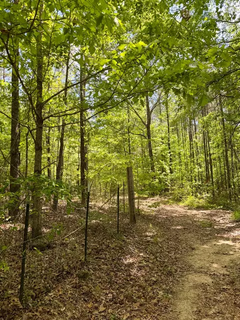Other - 255 Biltmore Rd, Mansfield, GA 30055 photo 21 of 28