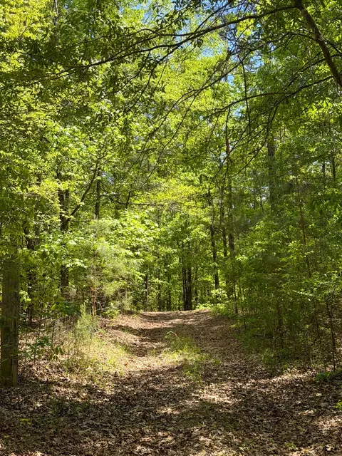Other - 255 Biltmore Rd, Mansfield, GA 30055 photo 23 of 28