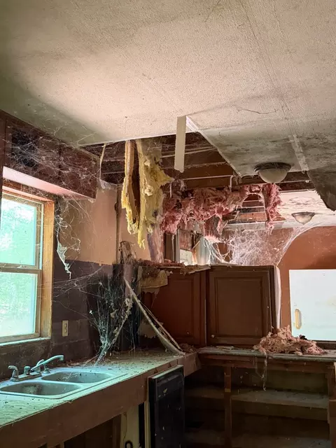Kitchen - 255 Biltmore Rd, Mansfield, GA 30055 photo 6 of 6