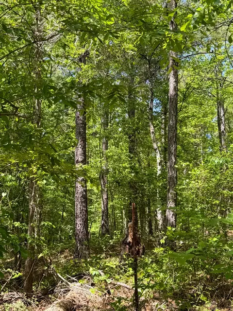 Other - 255 Biltmore Rd, Mansfield, GA 30055 photo 10 of 28