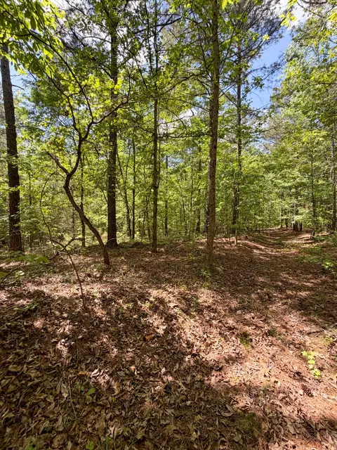 Other - 255 Biltmore Rd, Mansfield, GA 30055 photo 14 of 28