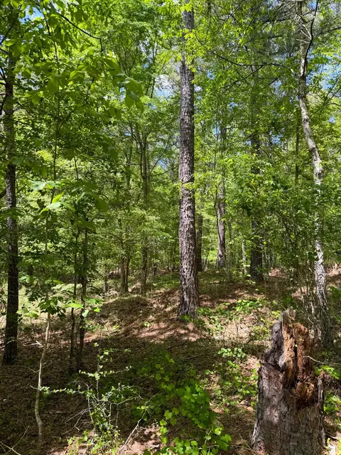Other - 255 Biltmore Rd, Mansfield, GA 30055 photo 11 of 28