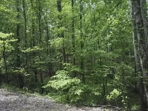 730 Wayne Smith Rd, Saulsbury, TN 38067