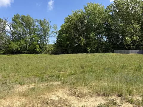 141 Reece Rd, Baxter, TN 38544 photo 3