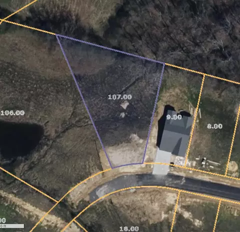 141 Reece Rd, Baxter, TN 38544 photo 2