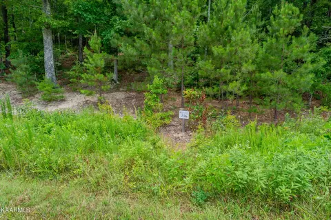 726 Twin Lks Dr, Loudon, TN 37774
