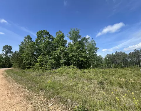 28 Pafford Ln, Erin, TN 37061