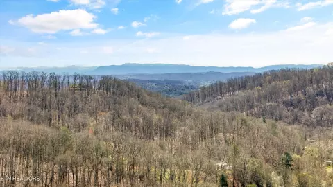 4902 Idumea Rd, Corryton, TN 37721 photo 41