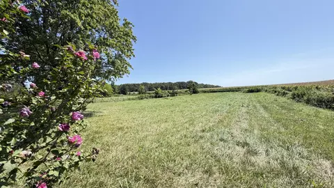 5901 Payne Rd, Portland, TN 37148