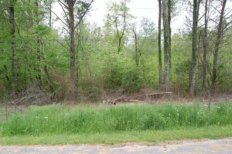 66 51st Ave, Gruetli Laager, TN 37339