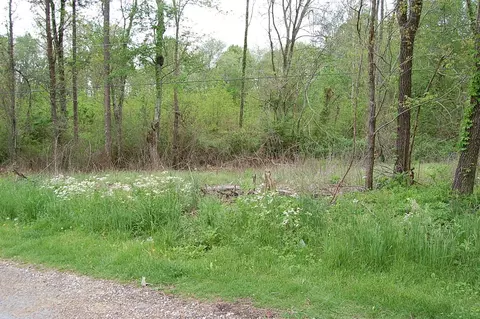 67 51st Ave, Gruetli Laager, TN 37339