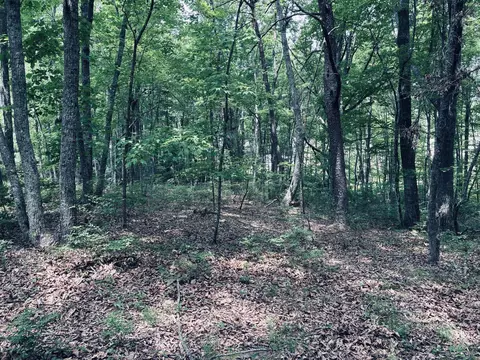 5140 Crockett, Jasper, TN 37347 photo 34
