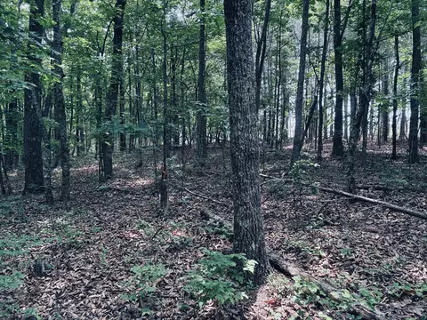 5140 Crockett, Jasper, TN 37347 photo 36