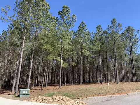 5140 Crockett, Jasper, TN 37347 photo 6