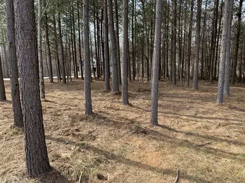 5140 Crockett, Jasper, TN 37347 photo 15