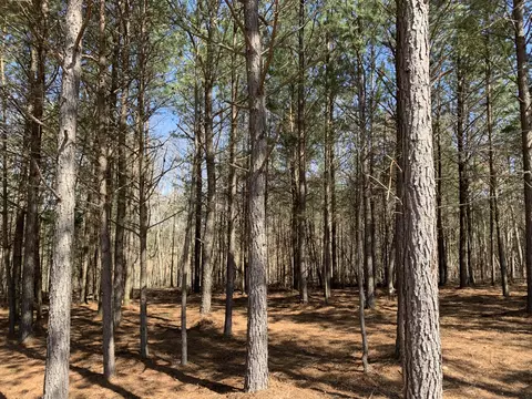 5140 Crockett, Jasper, TN 37347 photo 8