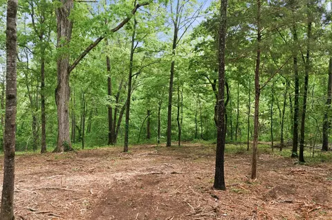 0 Willow Springs Rd, Lyles, TN 37098