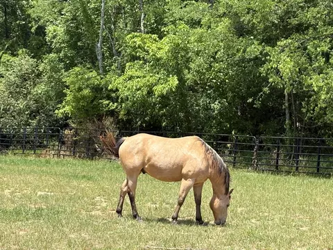 Other - 182 Trinity Rd, Franklin, TN 37067 photo 26 of 28