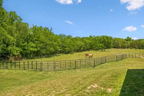 Exterior - 182 Trinity Rd, Franklin, TN 37067 photo 20 of 33