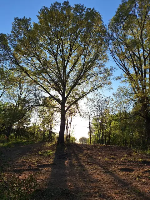 1 Bone Cave Rd, Rock Island, TN 38581