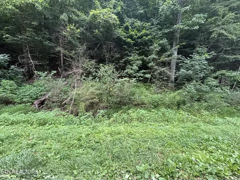 0 Ruritan Rd, Harriman, TN 37748