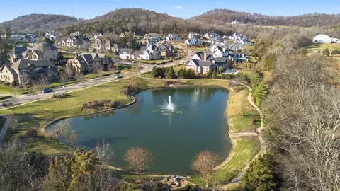 View/Area - 1204 Echo Ln, Franklin, TN 37069 photo 8 of 8