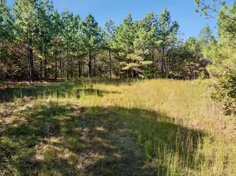 0 Cox Hollow Lot 43a 43b, Dover, TN 37058
