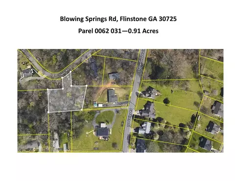 0 Blowing Spgs, Flintstone, GA 30725