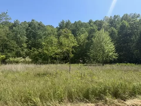 1 Bbq Rd, Dickson, TN 37055 photo 6