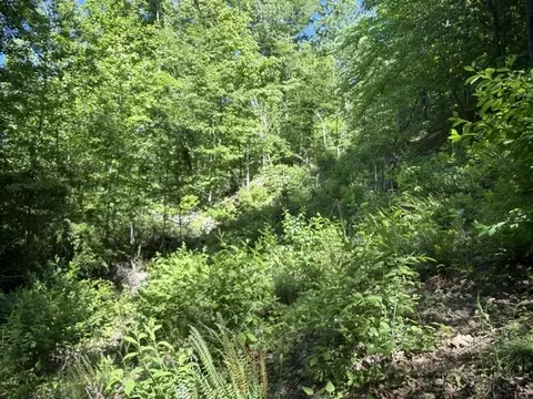 1 Bbq Rd, Dickson, TN 37055 photo 3