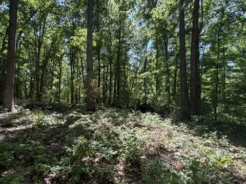 1 Bbq Rd, Dickson, TN 37055 photo 2