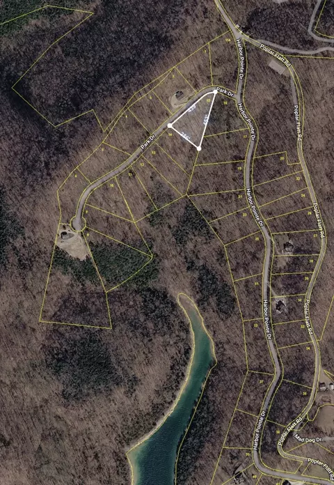 0 Park Dr, Silver Point, TN 38582 photo 2