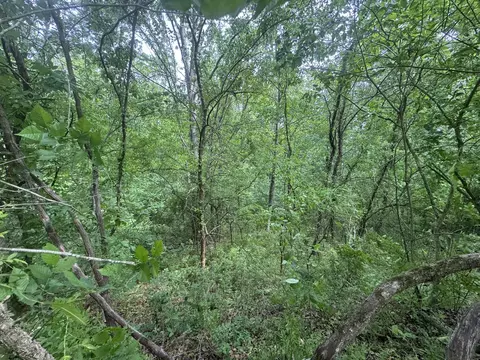 0 Park Dr, Silver Point, TN 38582 photo 6
